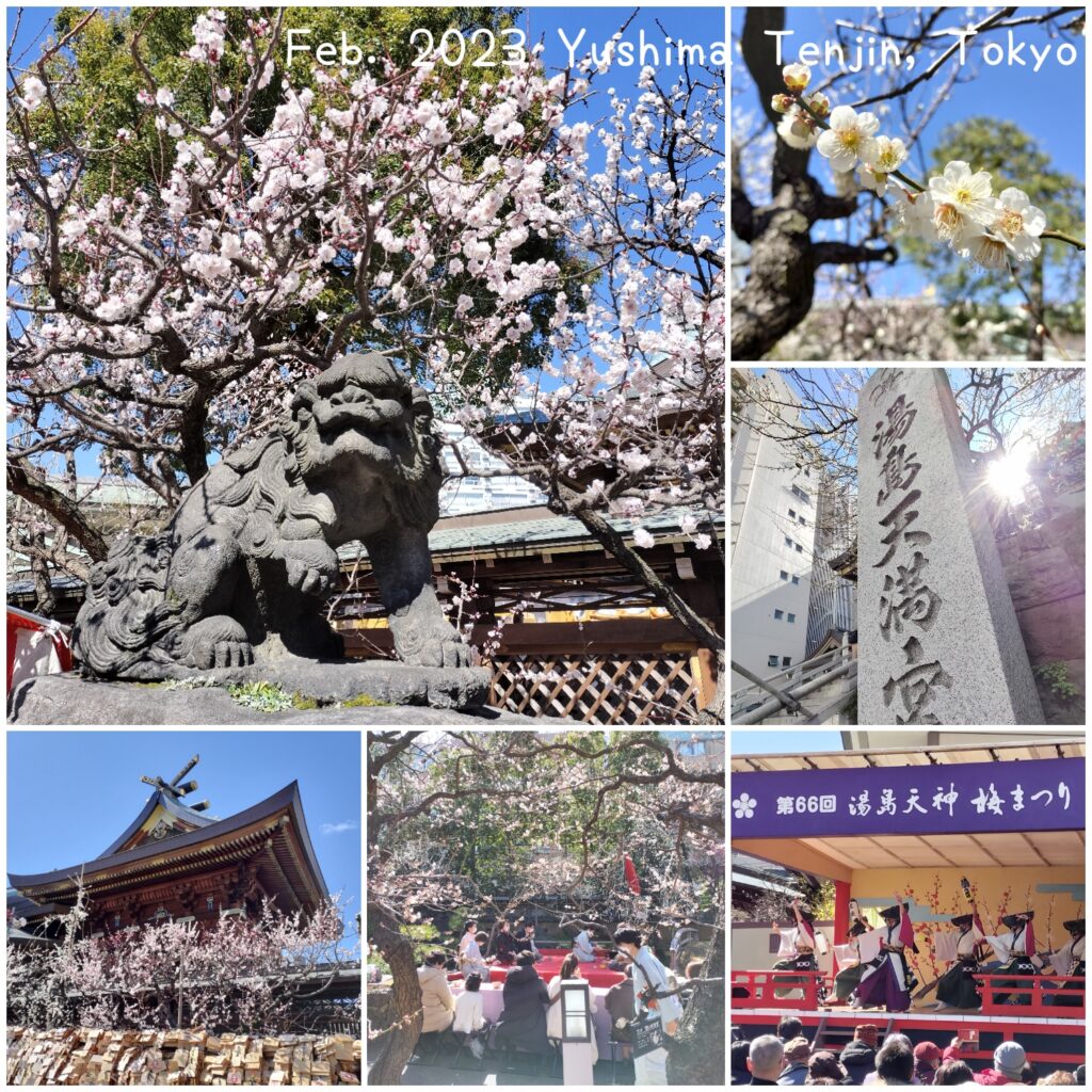 Yushima Tenjin pictures